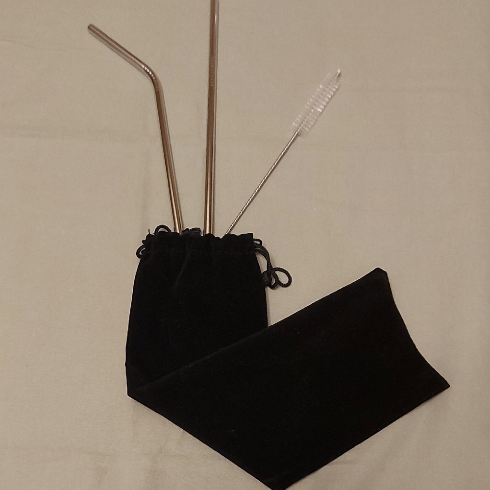 Stainless Steel Straw Set with Brush